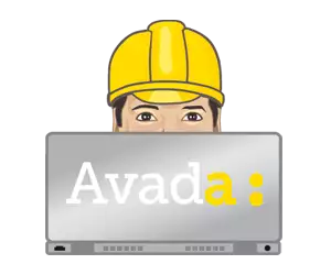 Avada review